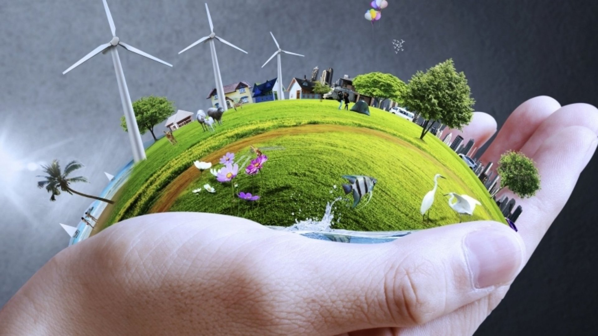 Paperless Environment – A Blessing for Positive Climate Change ...