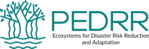 PEDRR_Logo