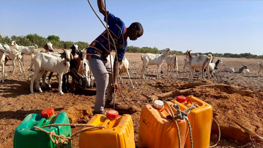 Ménaka Region, Tassassat village, Mali. A man draws water. In this village, the ICRC has installed a watering place to support the villagers who are affected by the combined effects of conflict and climate change.