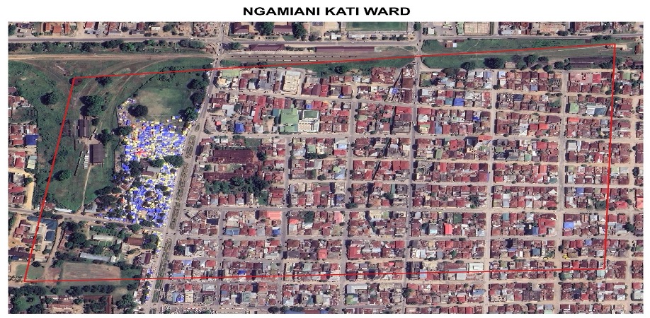 Example of satellite images captured during data collection at Tanga city
