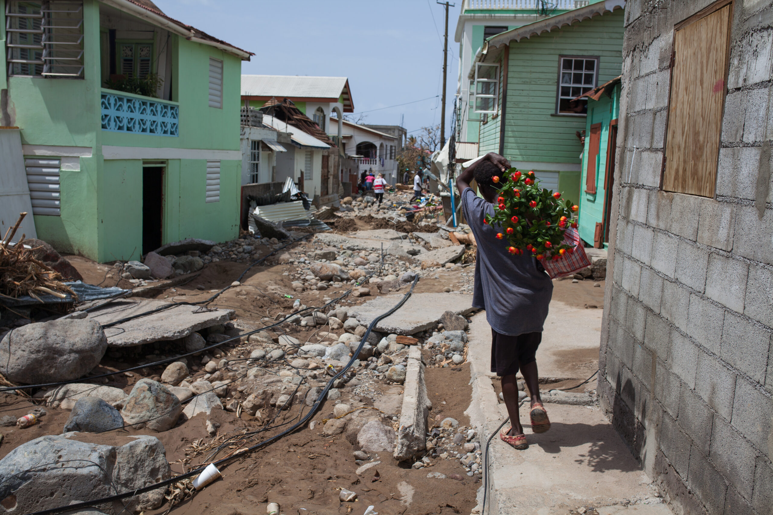 A person carries a basket of flowers through a debris-filled street in Dominica, with homes visibly damaged by Hurricane Maria's destruction in 2017. The scene reflects both the devastation and the resilience of the community.