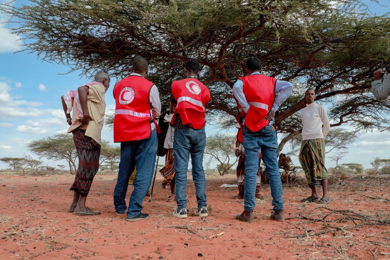 Three SRCS volunteers in red vests stand with community members under an acacia tree on arid red soil, engaging in an outdoor community outreach or assessment activity in a rural area of Somalia.