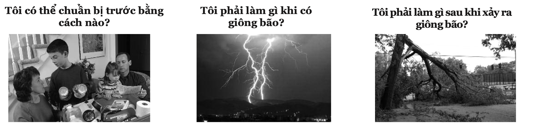 Vietnamese-language thunderstorm safety checklist graphic with three black-and-white sections: 'How can I prepare in advance?' showing a family gathered indoors with emergency supplies like flashlights and canned goods; 'What should I do during a thunderstorm?' showing lightning bolts striking over a city skyline at night; and 'What should I do after a thunderstorm occurs?' showing a large tree that has fallen onto power lines.