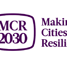 MCR 2030 logo
