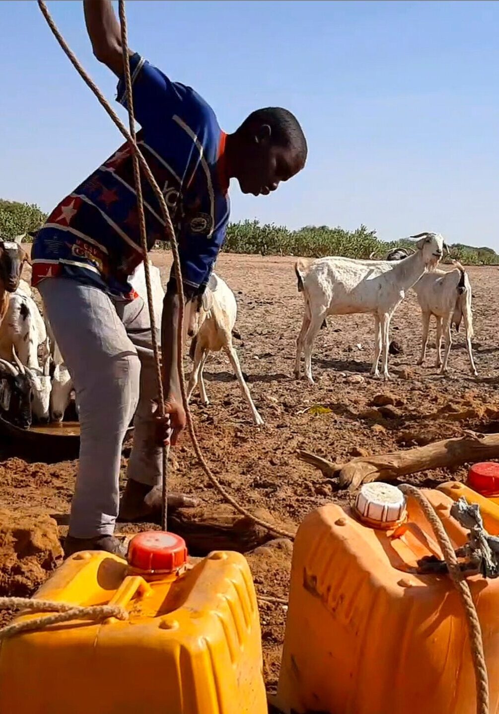 Ménaka Region, Tassassat village, Mali. A man draws water. In this village, the ICRC has installed a watering place to support the villagers who are affected by the combined effects of conflict and climate change.