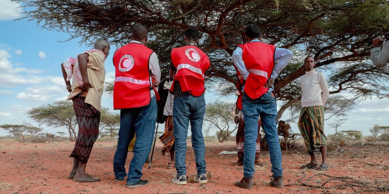 Three SRCS volunteers in red vests stand with community members under an acacia tree on arid red soil, engaging in an outdoor community outreach or assessment activity in a rural area of Somalia.